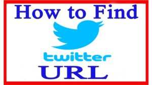 What Is My Twitter URL - How to Find My Twitter URL in 2022?