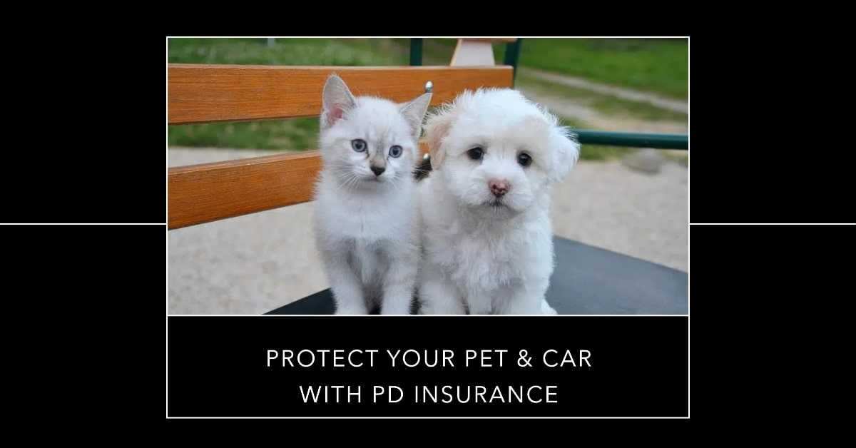 Is PD Insurance Any Good?