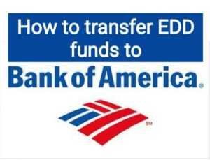 Can You Transfer Money From EDD Card To Bank Account?
