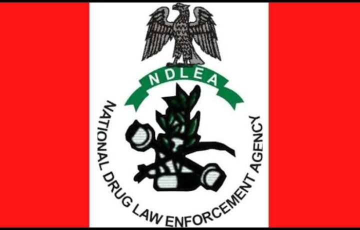 How to Check NDLEA Shortlisted Candidates