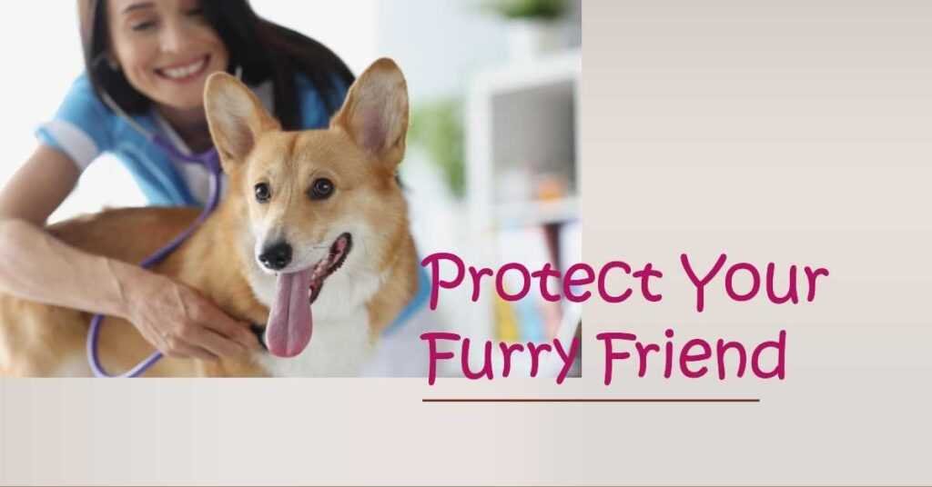 is pet insurance worth it
