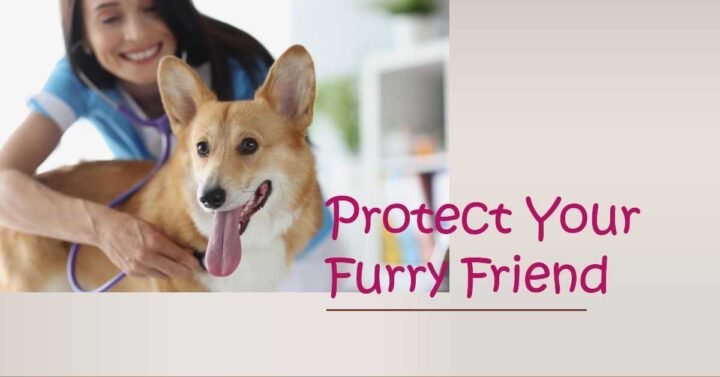 is pet insurance worth it